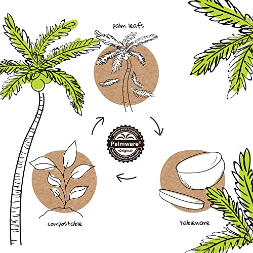 BIOZOYG Palmware Platos de Hojas de Palma I 25 Piezas de ojas de Palma Redondo Ø 15 cm I Bio vajilla desechable Boda compostable Biodegradable Vajilla de Fiesta