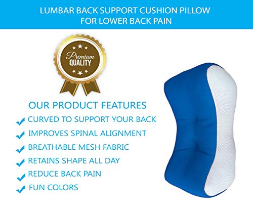 Cojín lumbar de apoyo para el dolor de espalda. Respaldo ergonómico para el hogar, silla de oficina, sofá y coche. Cojín de apoyo, perfecto para cama y sillón.