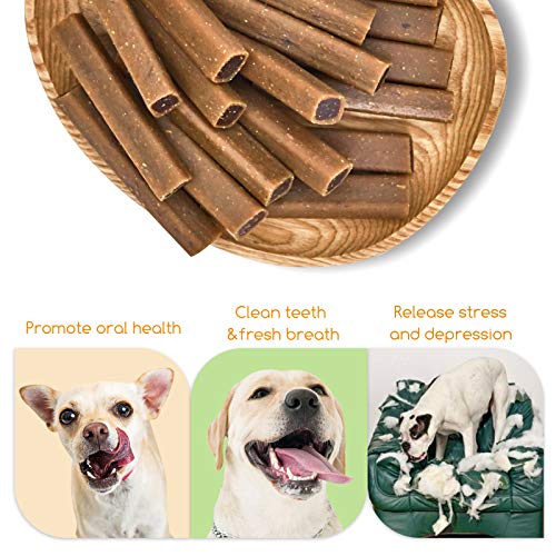 Comida Perros, Golosinas para Perros Comida Seca para Perros Varilla Molar Dientes Limpios Suplemento de Calcio Nutritivo y Delicioso,300g(Contiene Carne de Res, Maní y Arándanos)