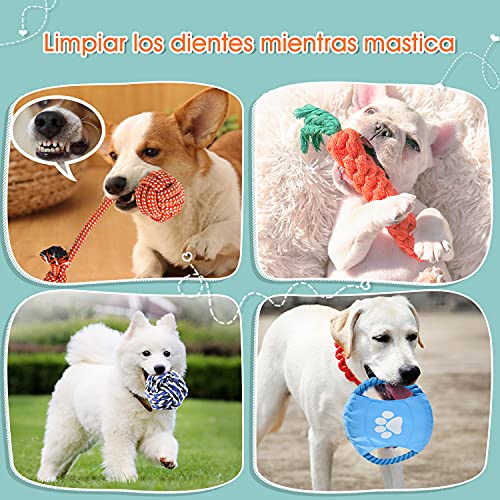 Docatgo Grupo de Juguetes para Perros Durable Masticable Cuerda Soledad Grupo de Juguete para Perrito Pequeño Medio Solitario para Mantener a su Perro Sano11 Piezas,Inteligencia para Perros Accesorios