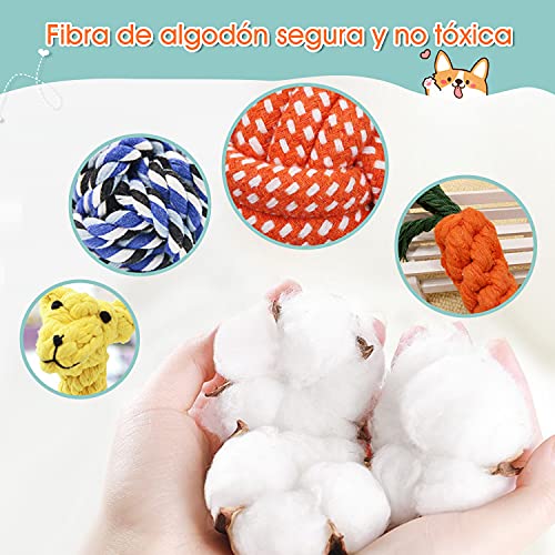 Docatgo Grupo de Juguetes para Perros Durable Masticable Cuerda Soledad Grupo de Juguete para Perrito Pequeño Medio Solitario para Mantener a su Perro Sano11 Piezas,Inteligencia para Perros Accesorios