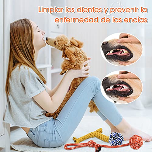 Docatgo Grupo de Juguetes para Perros Durable Masticable Cuerda Soledad Grupo de Juguete para Perrito Pequeño Medio Solitario para Mantener a su Perro Sano11 Piezas,Inteligencia para Perros Accesorios