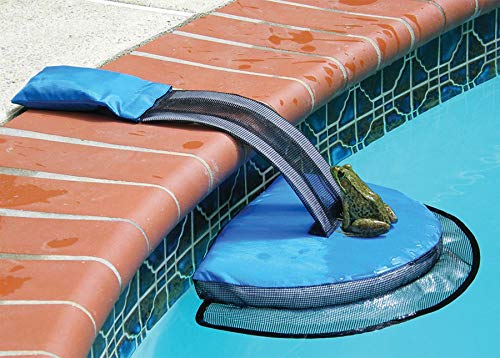 FrogLog, salva animales piscina