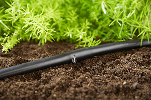 GARDENA Extensión del Set de plantas en hileras con goteros incluidos 13 mm 1/2 pulgadas riego automático y para ahorrar agua, flujo de agua 4l/h, 25 m Tubo de gotero sin accesorios 13131-20