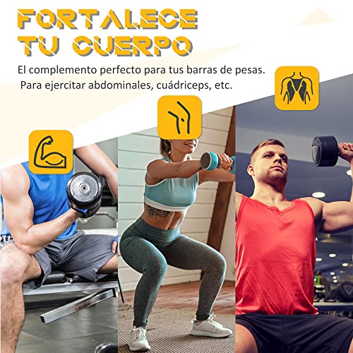 HOMCOM Juego de 4 Discos de Pesas de 5 kg y 10 kg con Orificio de Ø25 mm para Entrenamiento de Fuerza Levantamiento de Pesas Negro