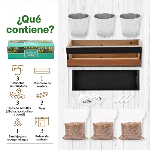 Huerto en Casa / Huerto Interior - Kit de Cultivo Interior - Huerto Domestico Interior - 3 Macetas Reutilizables,Caja Jardinera Madera, Bandeja, Semillas, Pizarra y Tiza -Viridescent