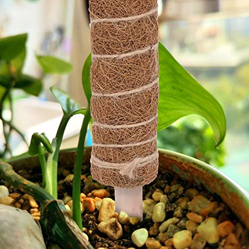 JLNGTHONG Postes de Coco, Tótem de Fibra de Coco para Extensión de Soporte de Plantas, Plantas de Interior Trepadoras (2pcs)