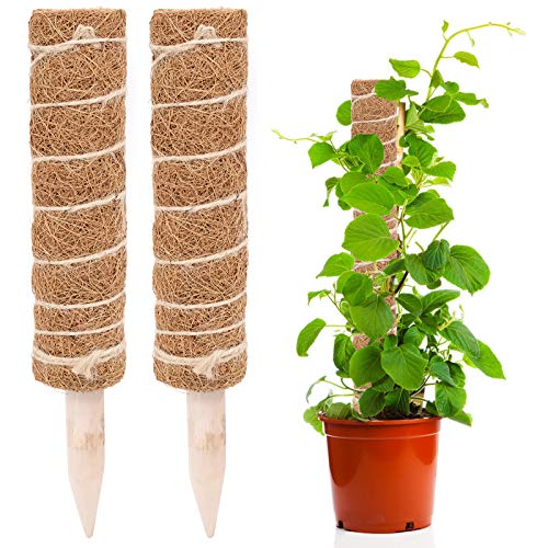 JLNGTHONG Postes de Coco, Tótem de Fibra de Coco para Extensión de Soporte de Plantas, Plantas de Interior Trepadoras (2pcs)