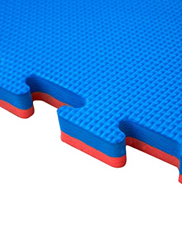 JOWY Lote 4 Unidades Esterilla Goma Espuma Tatami Puzzle | Tatami Suelo Gimnasio Ideal Artes Marciales 1 m x 1 m x 2,5 cm Rojo/Azul