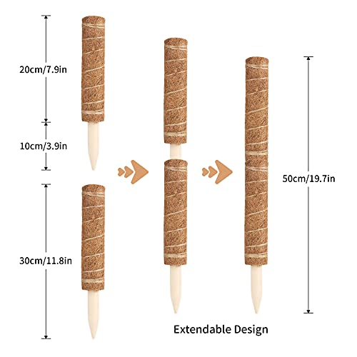 KINGLAKE 4piezas 30cm Totem Coconut Tótem Coconut Moss Figura Teng Pilar Rock Stiming Plantas Soporte Extensión de Escalada en el Interior con una Cuerda de 10 Metros y 10 Etiquetas de plástico