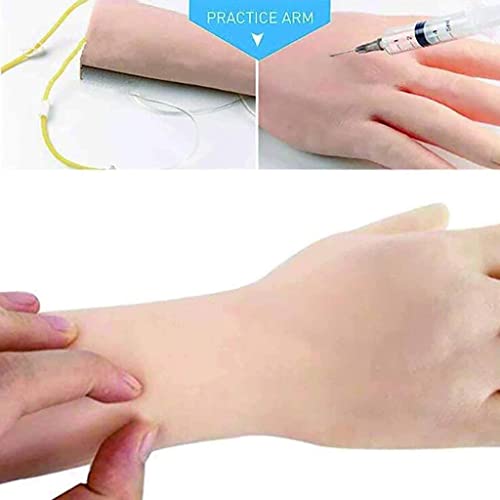 Kit De Flebotomía Brazo De Práctica Intravenosa Modelo De Práctica De Punción Venosa, Kit De Brazo De Práctica Intravenosa Flebotomía Con Bolso De Almacenamie