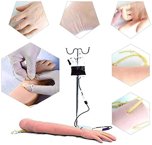 Kit De Flebotomía Brazo De Práctica Intravenosa Modelo De Práctica De Punción Venosa, Kit De Brazo De Práctica Intravenosa Flebotomía Con Bolso De Almacenamie