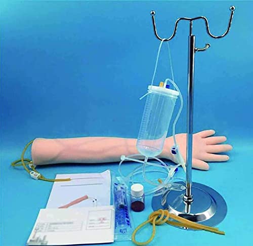 Kit De Flebotomía Brazo De Práctica Intravenosa Modelo De Práctica De Punción Venosa, Kit De Brazo De Práctica Intravenosa Flebotomía Con Bolso De Almacenamie