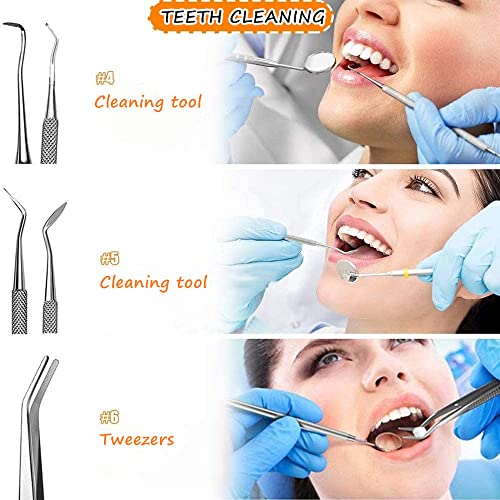 Kit de Limpieza de Dientes, 6 Herramientas de Cuidado de Dientes que Incluyen 1x Espejo Dental, 1x Pinza, 4x Tipos Diferentes de Herramientas de Limpieza de Dientes - Acero Inoxidable