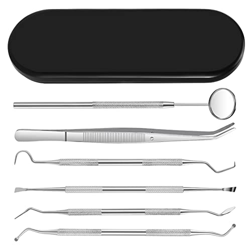 Kit de Limpieza de Dientes, 6 Herramientas de Cuidado de Dientes que Incluyen 1x Espejo Dental, 1x Pinza, 4x Tipos Diferentes de Herramientas de Limpieza de Dientes - Acero Inoxidable