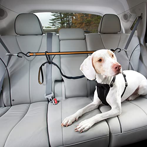 Kurgo - Correa de Seguridad para Coche para Perros, Correa de Seguridad con Tirolina, Talla Única, Tirolina Automática, Ajustable de 1 a 1.8 m, Compatible con todo tipo de Arneses, Negro / Naranja