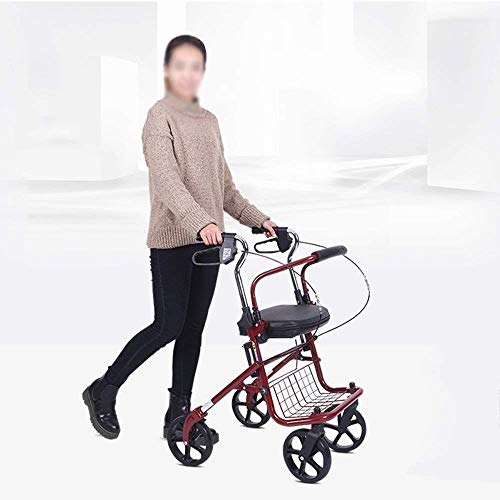 LDBDASA Carrito de la Compra Carrito Ligero Auxiliar Vehículo para Discapacitados Carro con Discapacitados Vehículo de Cuatro Ruedas Anti-Caída Trolley Plegada/Red