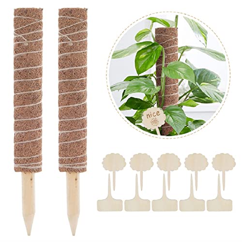 Lemecima 2 Paquetes Palo de Tótem de Coco Palo de Musgo de Coco Tótem de Musgo de Coco para Enredaderas Soporte de Plantas Extensión Escalada Plantas de Interior, 41cm