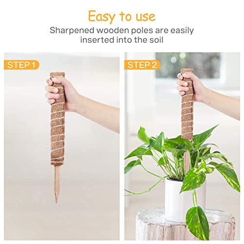 Lemecima 2 Paquetes Palo de Tótem de Coco Palo de Musgo de Coco Tótem de Musgo de Coco para Enredaderas Soporte de Plantas Extensión Escalada Plantas de Interior, 41cm