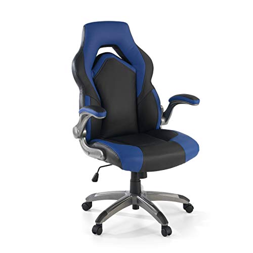 Ofichairs Silla AK-Omega Silla Gaming Silla de Escritorio Silla Gamer Profesional Brazos Abatibles y Ajustables Mecanismo de Inclinación Color Azul & Negro