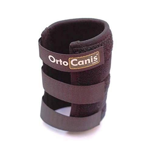 Ortocanis - Muñequera para Perros con artrosis, Lesiones a ligamentos, tendones o Perros Que practican Agility - Talla M