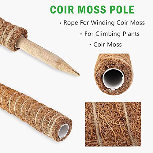 Palo de Musgo, 2 pcs Palo de Tótem de Coco, 40cm Tótem de Fibra, Palo de Fibra de Coco con 20 Lazos de plantas , Tutores para Plantas para Extensión de Soporte para Plantas