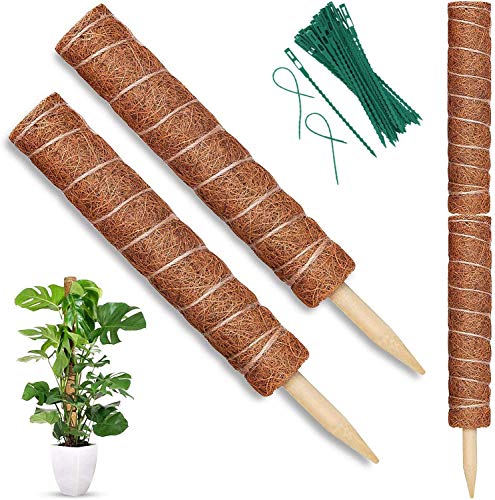 Palo de Musgo, 2 pcs Palo de Tótem de Coco, 40cm Tótem de Fibra, Palo de Fibra de Coco con 20 Lazos de plantas , Tutores para Plantas para Extensión de Soporte para Plantas