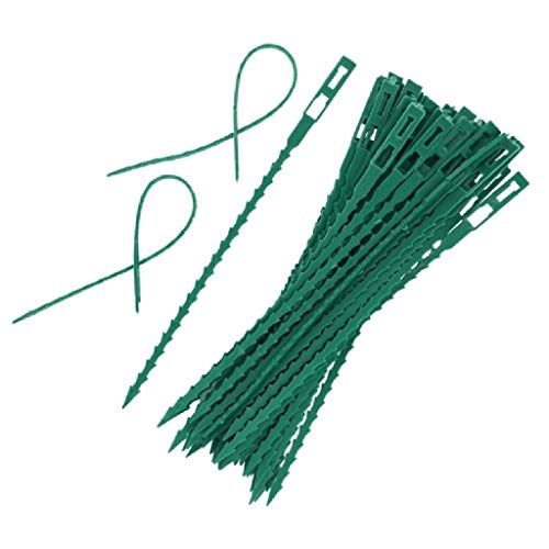 Palo de Musgo, 2 pcs Palo de Tótem de Coco, 40cm Tótem de Fibra, Palo de Fibra de Coco con 20 Lazos de plantas , Tutores para Plantas para Extensión de Soporte para Plantas