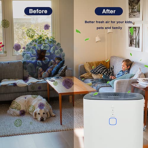 Purificador de Aire con Filtro HEPA H13 - Portátil Air Purifier, Fácil Uso de Un Toque, 3 Modo, Eliminar 99,97% Alergias, Polen, Olor, Tabaco, Caspas de Mascota, PM2.5