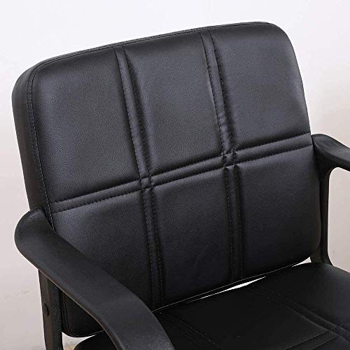 Silla de peluquería Negra hidráulica hidráulica de 360 ​​Grados Levantamiento Giratorio Salón de Pelo de peluquería dedicada Peluquería Silla de Pelo Silla de Pelo Toolols (Negro 2) Taburete