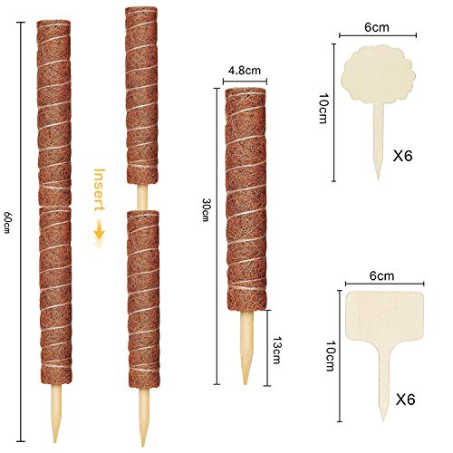 WELLXUNK Tótem de Fibra,2 Piezas Palo de Musgo Soporte para Extensiones de Plantas Musgo de Coco,para Enredaderas Soporte de Plantas Extensión Escalada Plantas de Interior,con 12 Etiqueta (30cm)