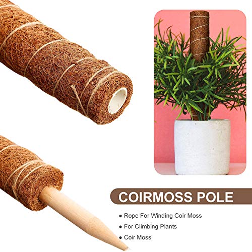 WELLXUNK Tótem de Fibra,2 Piezas Palo de Musgo Soporte para Extensiones de Plantas Musgo de Coco,para Enredaderas Soporte de Plantas Extensión Escalada Plantas de Interior,con 12 Etiqueta (30cm)