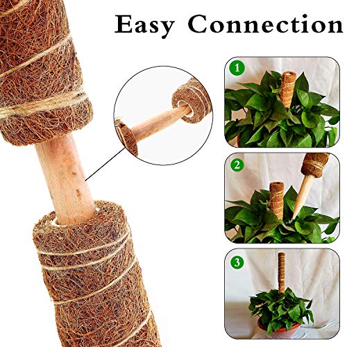 WELLXUNK Tótem de Fibra,2 Piezas Palo de Musgo Soporte para Extensiones de Plantas Musgo de Coco,para Enredaderas Soporte de Plantas Extensión Escalada Plantas de Interior,con 12 Etiqueta (30cm)