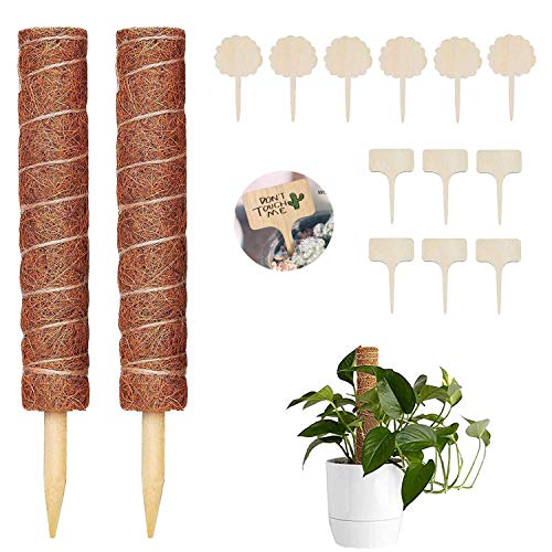 WELLXUNK Tótem de Fibra,2 Piezas Palo de Musgo Soporte para Extensiones de Plantas Musgo de Coco,para Enredaderas Soporte de Plantas Extensión Escalada Plantas de Interior,con 12 Etiqueta (30cm)