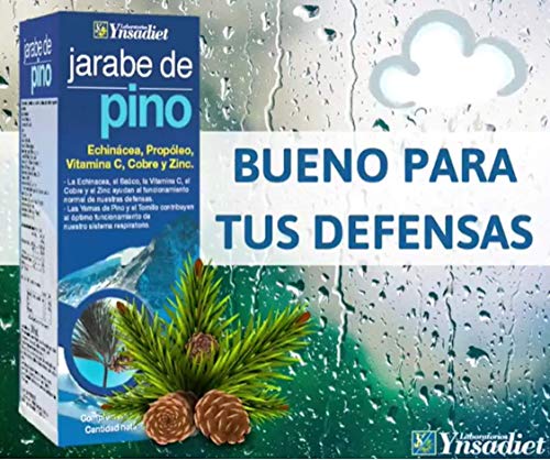 YNSADIET Jarabe de Pino Echinácea, Propóleo, Vitamina C, Cobre y Zinc - 125 mililitros